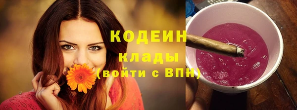индика Навашино