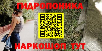 прущие грибы Комсомольск-на-Амуре