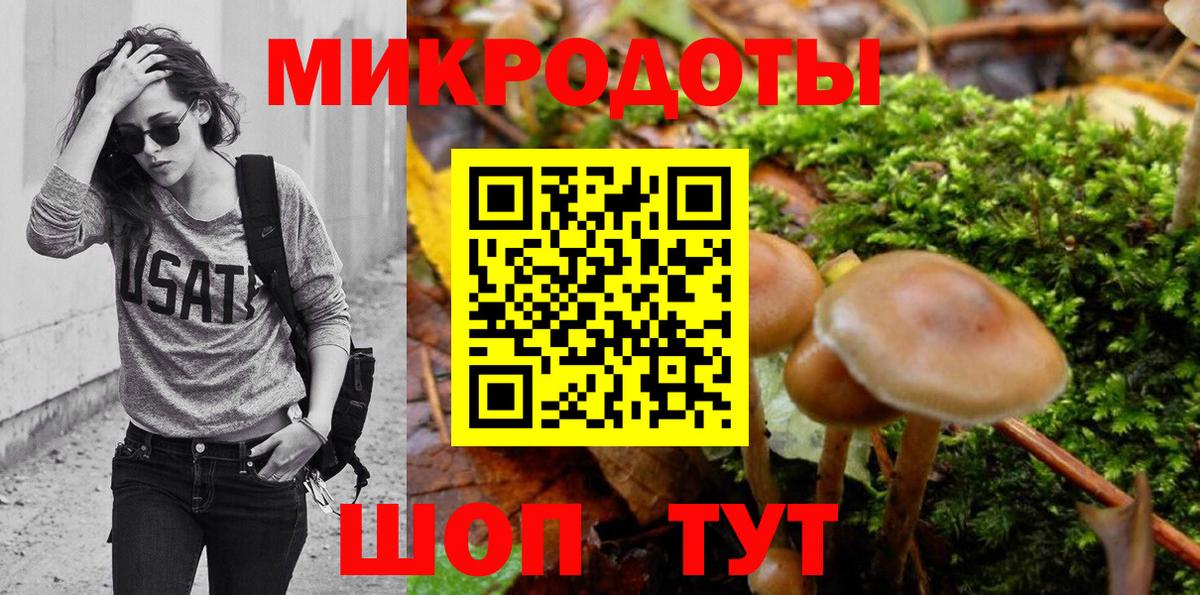 Псилоцибиновые грибы Psilocybine cubensis Касимов