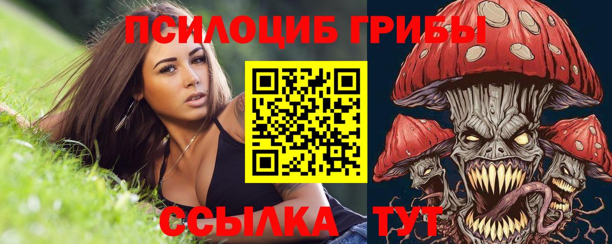 Псилоцибиновые грибы Magic Shrooms  Вход с VPN  Касимов 